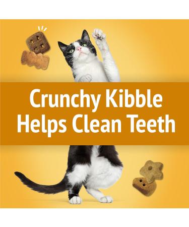 Friskies Party Mix Cat Treats Cheezy Craze Crunch with Real Cheese - 454 g Cannister (1 Pack) 454 g (Pack of 1) - Buy Online on GoSupps.com