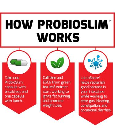 Force Factor ProbioSlim: Digestive Support & Weight Management - 60 Capsules - Buy Online on GoSupps.com