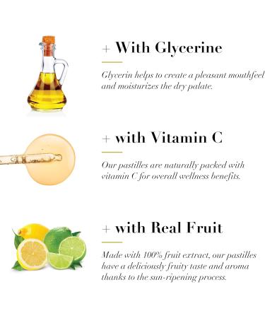 Dr Doolittle's Sugar Free Soft Fruit Pastilles for Voice and Throat Lemon Lime Flavor Multipack of 2.12 Ounce Tin 2 Pack and .33 Ounce Travel Size Bag 10 Pack - Buy Online on GoSupps.com