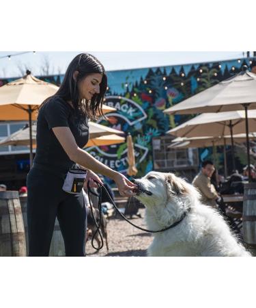OllyDog Mountain Leash | Climbing-Inspired Rope Dog Leash 5ft | Padded Handle | Dog Accessories - Buy Online on GoSupps.com