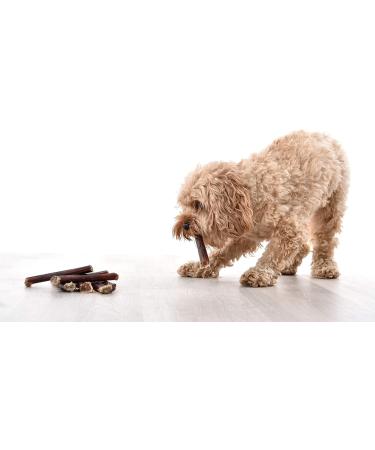 Dragonfly Products. 10 x 15cm Thick Bulls Pizzle Bully Sticks for Dogs & Puppies - Healthy Natural Dog Thick Treats Chews Beef 10 count (Pack of 1) - Buy Online on GoSupps.com
