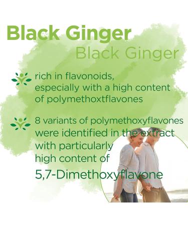 Swanson Black Ginger Extract 100mg - High Strength 30 Vegan Capsules - Lab Tested - Vegetarian - Non GMO - Buy Online on GoSupps.com