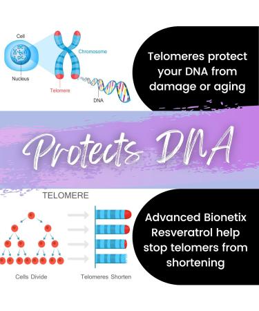Advanced Bionetix 2X Potency Micronized Trans Resveratrol Supplement. 1200mg per 2 Capsules. High Absorption Antioxidant Formula. Promotes Anti Aging Cognitive Support & Heart Health - Buy Online on GoSupps.com