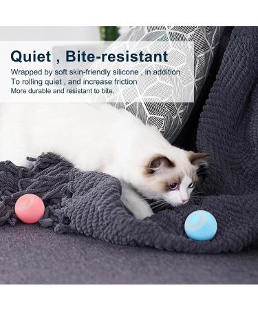 2PCS wloom cat Ball 2.0 Power Ball 2.0 cat Toy Peppy pet Ball for Dogs Cat Interactive Hunting Cat Toy Intelligent 360 Degree Active Moving Pet Ball Toy Rolling Smart Electronic Dog Cat Ball Toy - Buy Online on GoSupps.com