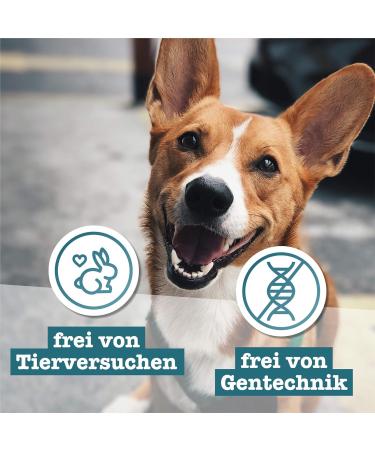 Mini Dogeleckerli: 100% Duck Meat Strips for Small Dogs - Hypoallergenic Grain-Free Snack - 70g Air-Dried Delicacy - Buy Online on GoSupps.com