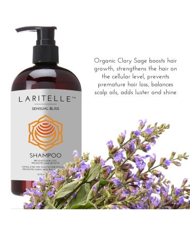 Buy Organic Hair Growth Set | 16 oz Shampoo Conditioner & 4 oz Treatment | Argan Oil & Essential Oils | NO GMO Sulfates Alcohol | International Shipping - Buy Online on GoSupps.com