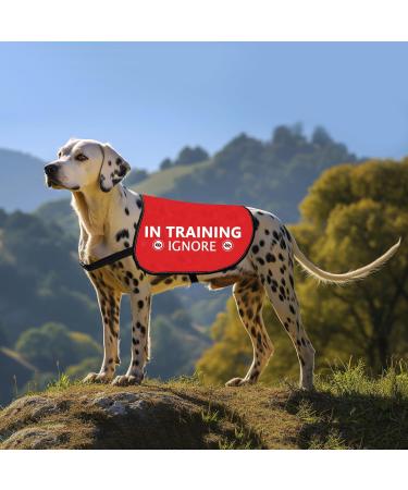 Buy Hollp Training Dog Jacket Vest - In Training Ignore Dog Walk Jacket | Large Size - Buy Online on GoSupps.com