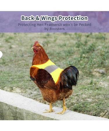 Vehipa 3 Pcs Reflective Chicken Vest Set - Adjustable Harness for Poultry - Feather Protection for Hen, Geese, Duck - Buy Online on GoSupps.com
