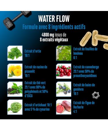  GEN GERMAN ELITE NUTRITION Water Flow Complex - 180 capsules - With nettle dandelion green tea artichoke and cranberry - Tablet-free plant-based formula - Buy Online on GoSupps.com