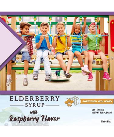 Herbion Naturals Elderberry Syrup - Immune Support for Adults & Kids Honey Sweetened Natural Raspberry Flavor - Shop Now! - Buy Online on GoSupps.com