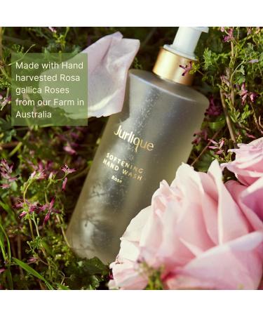 Jurlique Rose Hand Wash - Nourishing Natural Cleanser for Soft Hands | International Shipping Available - Buy Online on GoSupps.com