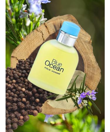 BLUE OCEAN POUR HOMME EAU DE TOILETTE 3.4 Fl. oz. Citrus Aromatic fragrance for Men. - Buy Online on GoSupps.com