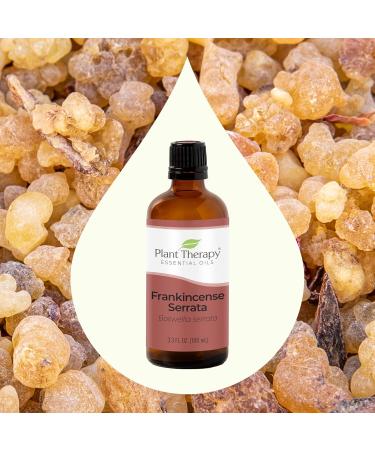 Buy Plant Therapy Frankincense Serrata Essential Oil 100% Pure - 100 mL Therapeutic Grade for Aromatherapy | Fast International Shipping - Buy Online on GoSupps.com
