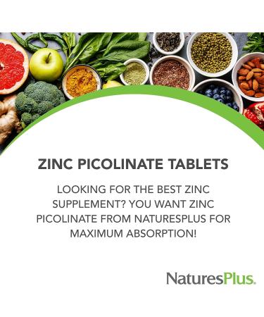 NaturesPlus Zinc Picolinate Complex with B6 30mg - 120 Vegetarian Tablets | Immune Support with Vitamin B6 & Brown Rice Protein - Gluten-Free | Free Radical Defense & Overall Health - 120 Servings - Buy Online on GoSupps.com