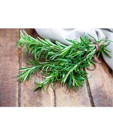 Country Range | Dried Rosemary | 2x300g - Buy Online on GoSupps.com