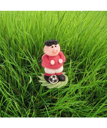Buy G nthart 24 Sugar Footballers in 3D - Colorful Edible Decorations | 1 Pack (210g) - International Shipping Available - Buy Online on GoSupps.com
