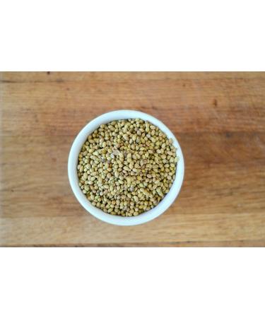 Anthony's Organic Coriander Seeds 1 lb - Gluten Free, Non GMO, Non Irradiated, Keto Friendly - Buy Online on GoSupps.com