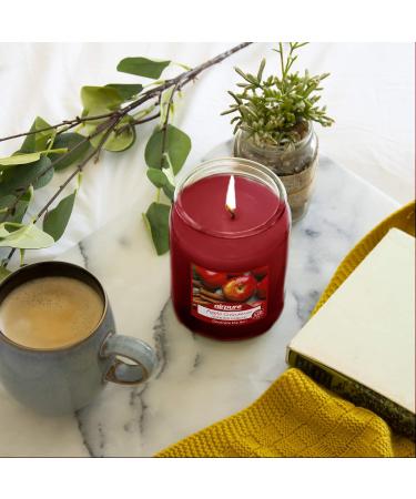 AIRPURE Large Candle Scented Apple Cinnamon Fragrance 18oz Jar 120 Hour Ornamental Candles Fill The Room with a Warm and Homey Fragrance for The Bedroom Bathroom Family Room or Office - Buy Online on GoSupps.com