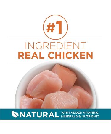 Purina ONE Dry Cat Food Chicken & Rice Formula - 1.59 kg Bag 1.59 kg (Pack of 1) Cat Food - Buy Online on GoSupps.com