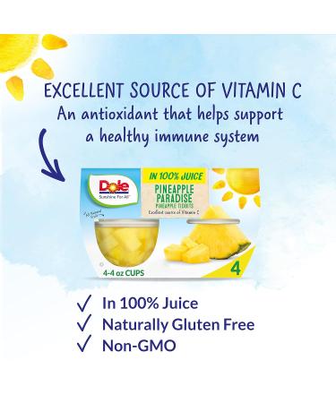 Dole Pineapple Tidbits in 100% Juice - Gluten Free Healthy Snack, 4oz Cups (Pack of 24) - Buy Online on GoSupps.com