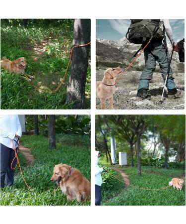 Loqatidis 15m Long Reflective Dog Leash for Medium & Small Dogs - Durable Comfortable Woven Handle Strong Lockable Hook - Ideal Camping Line (Orange) - Buy Online on GoSupps.com