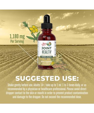 Joint Support Supplement by MaryRuth's - Vegan Herbal Blend Liquid Drops with Ginger Root Licorice Root Cat's Claw & Devil's Claw | Non-GMO | 30 Servings - Buy Online on GoSupps.com