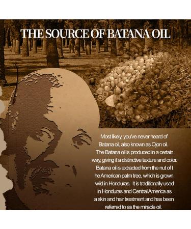 Raw Batana Oil for Hair Growth | Thickening & Split End Treatment | Prevent Hair Loss - Premium Honduran Hair Oil - Buy Online on GoSupps.com