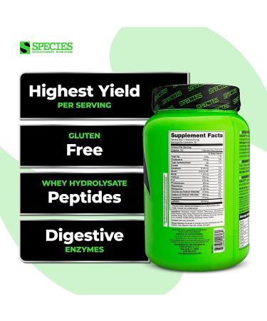Species Nutrition Isolyze Whey Protein Powder - 100% Whey Isolate Protein for Muscle Building - 27.5g per Scoop - No Sugar, Low Fat (Coffee 22 Servings) - Buy Online on GoSupps.com