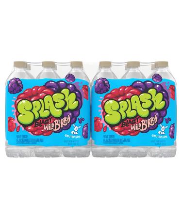 Wild Berry Flavor Splash Blast Flavored Water Beverage - 16.9 fl oz Plastic Bottles (24 Pack) - Buy Online on GoSupps.com