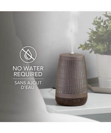 Yankee Candle Calm Nights Sleep Diffuser Refill - 30 Nights of Fragrance - Buy Online on GoSupps.com