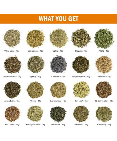 YoleShy Dried Magical Witch Herbs Set - Wicca Pagan Supplies for Spells & Witchcraft - Buy Online on GoSupps.com