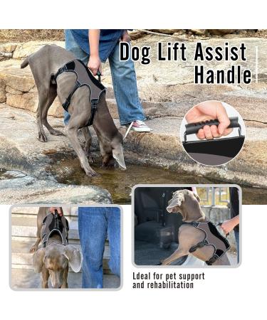 Aimydog No Escape Reflective Dog Harness | Escape Proof & Adjustable | Breathable Vest for Medium to Large Dogs | Grey/Black | Ideal for Walking & Training - Buy Online on GoSupps.com