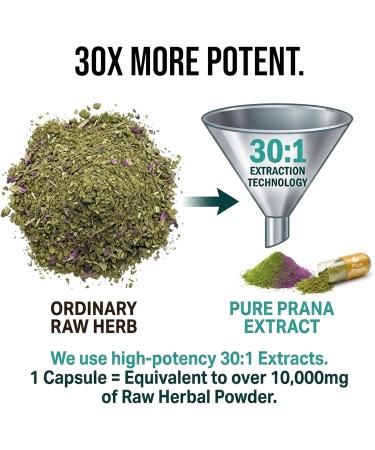 Pure Prana Elderberry & Giloy Capsules - Ayurvedic 10-Herb Immune Support with Tulsi Neem Turmeric & Ginger - Vegan Seasonal Defense Supplement for Adults - 60 Capsules - Buy Online on GoSupps.com