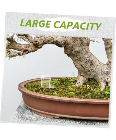 Kisangel 2pcs Pet Water Feeder Insect Feeder Transparent Ants Feeding Cup Insect Water Feeder Plastic - Buy Online on GoSupps.com