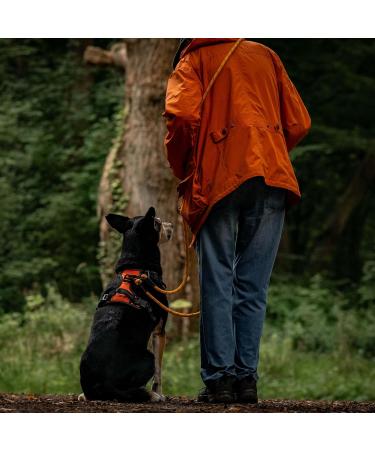 Floxic Premium Kleine Dog - 3M Adjustable Hundeleine for Small & Medium Dogs | Stylish & Robust in Gray or Orange | Durable 12mm Touline - Buy Online on GoSupps.com