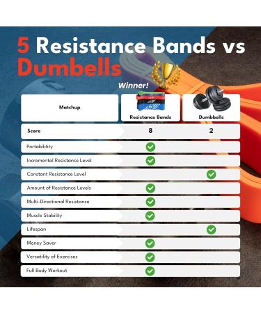 FX FFEXS Pull Up Assistance Bands Set - Elastic Resistance Bands for Men & Women - 5 Band Blue Set for Fitness & Stretching Workouts - Buy Online on GoSupps.com