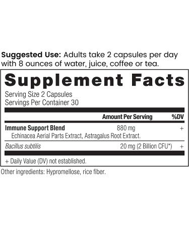Ancient Nutrition Elderberry + Probiotics | Dr. Axe | 60 Capsules | Immune Support - Buy Online on GoSupps.com