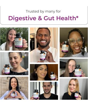 Resveratrol with Berberine Supplement For Gut Health Support | 60 Digestive Capsules For Women & Men | With Green Tea Extract Star Anise DGL Grape Seed & Quercetin | Helps Ease Bloating & Digestion 60 Count (Pack of 1) - Buy Online on GoSupps.com