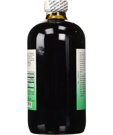 World Organics Chlorophyll Supplement 100mg - 16 Fl Oz (Pack of 1) - Buy Online on GoSupps.com