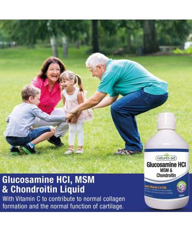 Natures Aid Glucosamine MSM and Chondroitin Liquid with Vitamin C 500ml - Apple & Blackcurrant Flavor | Joint Support Supplement - Buy Online on GoSupps.com