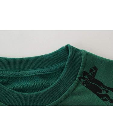 Dinosaur Sweatshirt for Boys | Kids Long Sleeve Cotton Jumper | Toddler Girls Pullover | Baby Clothes 1-8 Years | Green | Size 6-7 - Buy Online on GoSupps.com