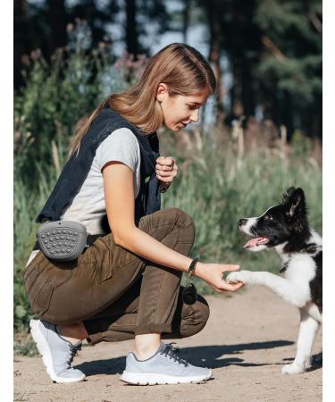Gobeigo Silicone Dog Treat Bag & Training Clicker - Magnetic Closure for Treats Puppy Training & Dog Walks - Gray Hip Belt Fanny Pack - Buy Online on GoSupps.com