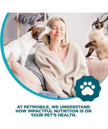 PETMOBILE Supreme Dry Cat Food 2KG/4.4LBS High-Protein Chicken & Salmon Recipe Taurine Fortified for Heart Health Supports Strong Muscles Boosts Digestive & Immune System Healthy Skin & Coat - Buy Online on GoSupps.com