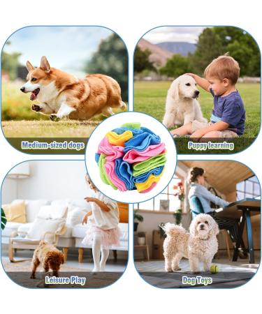 Interactive Sniffing Ball for Dogs - Washable Smell Training Toy for Small & Medium Breeds - Stress Relief & Intelligence Development - Buy Online on GoSupps.com