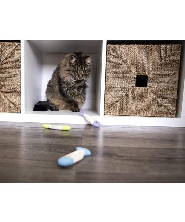SmartyKat Crinkle Fish Catnip Toys for Cats & Kittens - Stimulating and Fun Play - 9-Set, Multiple Styles - Buy Online on GoSupps.com