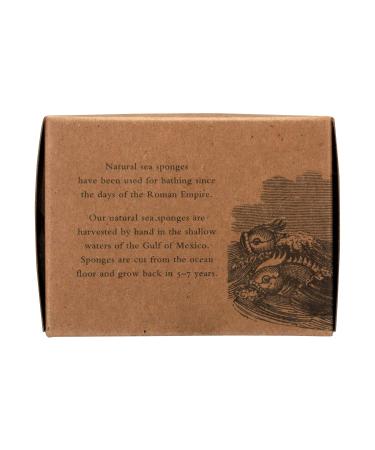 Wool Sponge Gift Box - 4.5 Inches | Eco-Friendly Gift for Any Occasion | International Shipping Available - Buy Online on GoSupps.com