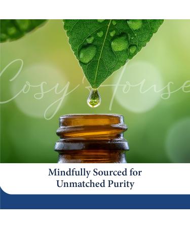 Cosy House Collection Pure Relaxation Blend Essential Oil - 15mL - Glass Bottle - 100% Pure & Natural Premium Quality for Aromatherapy Diffusers - Buy Online on GoSupps.com