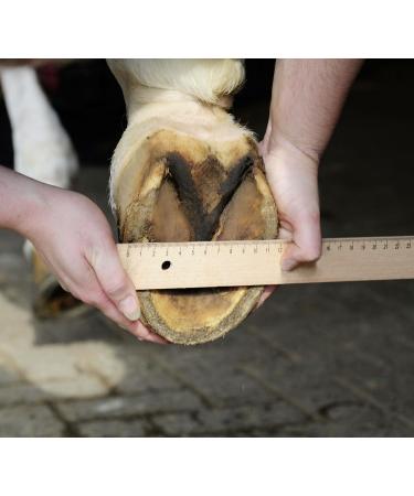 HKM Hoof Shoes for Horses - Non-Slip Shock Absorbing & Hard-Wearing - Extra Comfort Black Size 9 - Ideal Horse Cuisine Footwear - Buy Online on GoSupps.com