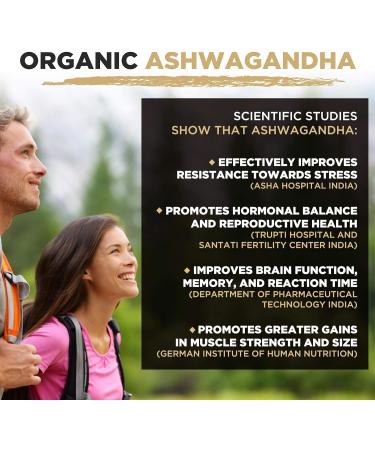 MySuperfoods Organic Ashwagandha Powder 500g | Rich in Vitamin B6 & B12 | 100% Pure & Natural | Pack of 1 - Buy Online on GoSupps.com