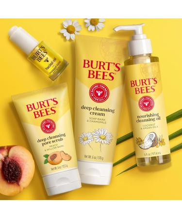 Burt's Bees Face Wash Deep Facial Cleansing Cream College Back to School Dorm Essentials All Natural Cleanser with Chamomile 6 Ounce (Pack of 3) (Packaging May Vary) - Buy Online on GoSupps.com